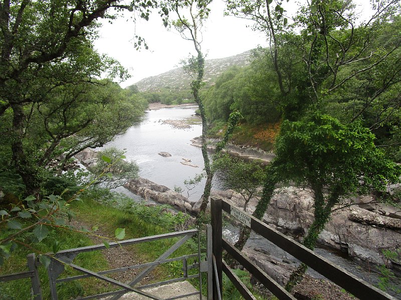 2018.07.10 bei Ron an der Nordwestkueste (2476).JPG